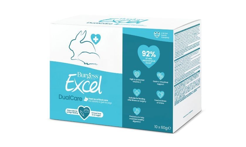 Burgess Excel DualCare critical care food for rabbits and guinea pigs