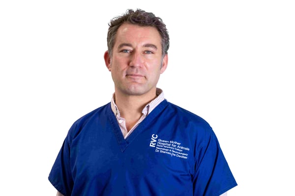 Dr Steven De Decker, veterinary surgeon at the RVC