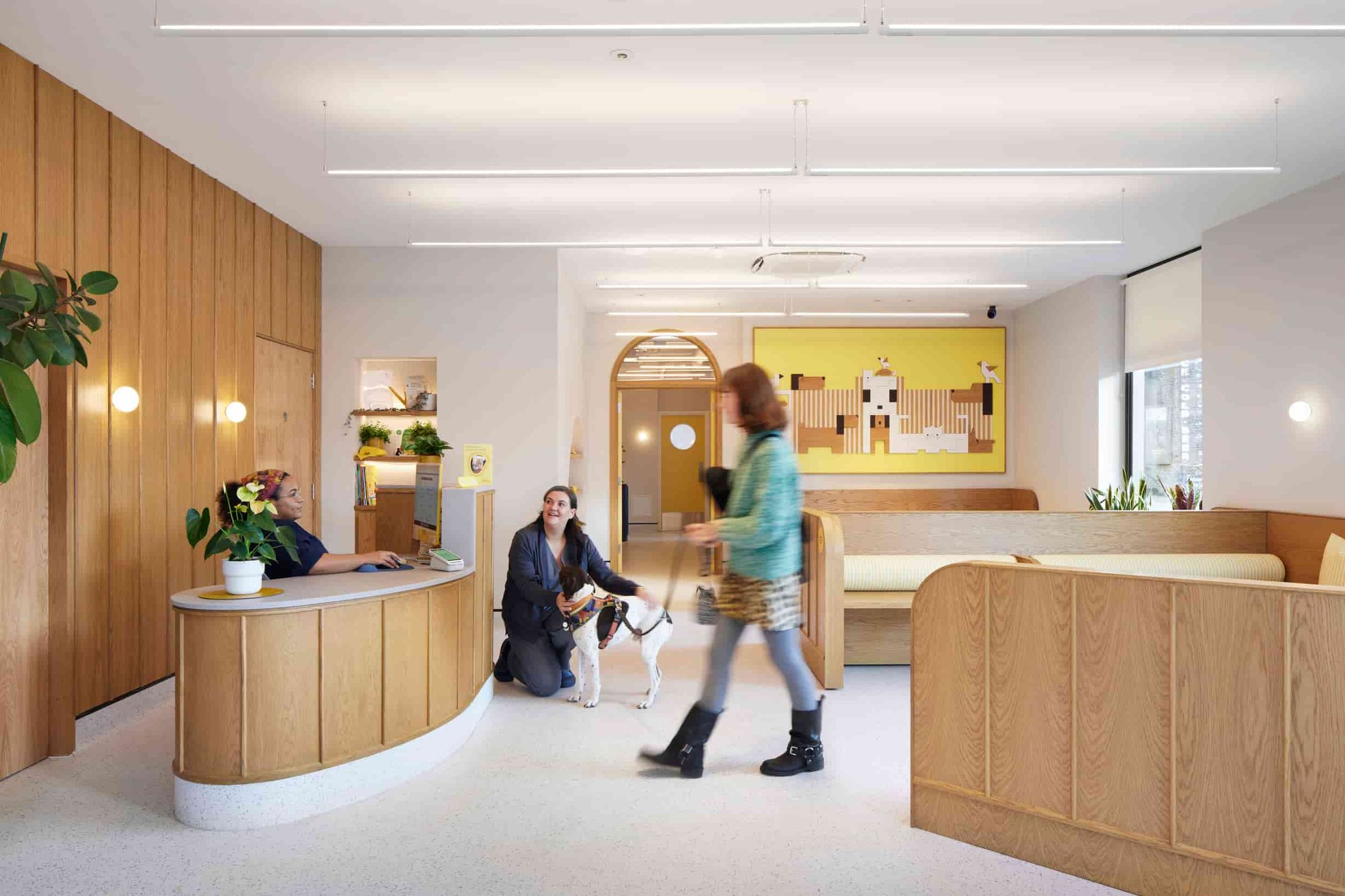 Hello Vet - London Fields