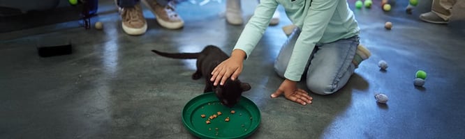 Fresh pet food health claims