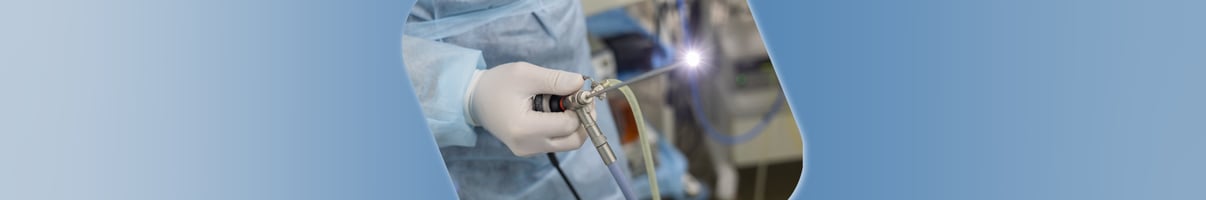 Veterinary endoscopy kit in use