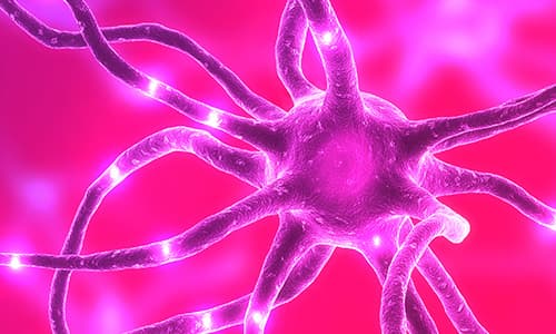 Neurology certificate programme thumbnail