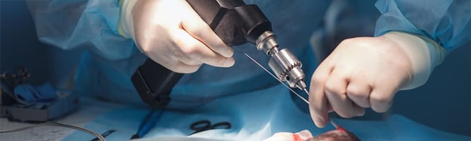 a veterinary surgeon correcting a medial patella luxation