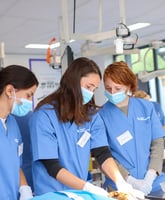RCVS Advanced Practitioners in Small Animal Medicine