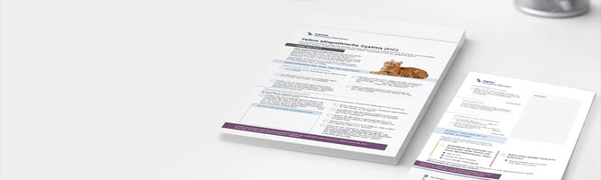 A feline idiopathic cystitis consult guide download