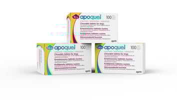 Apoquel Chewable
