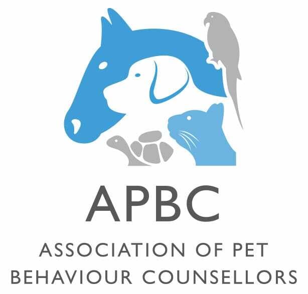 APBC-New-Logo-Portrait-Jun-09-2026-08-25-06-3251-AM