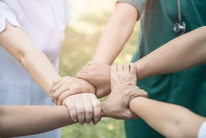 Veterinary practice team working together