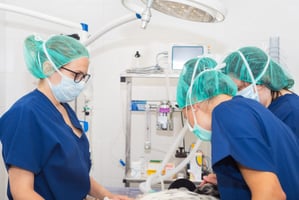 Team members on-hand with a crash cart in a veterinary emergency
