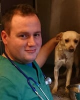 Andreas Manousoudakis DVM MRCVS