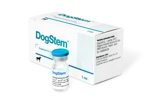 DogStem stem cell treatment for osteoarthritis in dogs