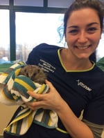 An exotic pet specialist holding a hedgehog
