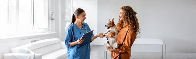 Communicating with pet owners about obesity is hard, but our tips can help