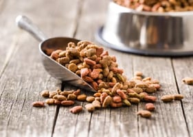 A scoop of dry dog food, representing diets for cardiac disease