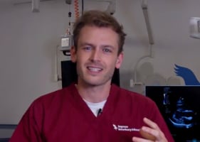 Rory Cowlam MRCVS during his first ultrasound training session at Improve