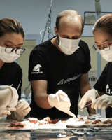 Animals Asia staff members practicing pathology skills with teachers from Improve Veterinary Education