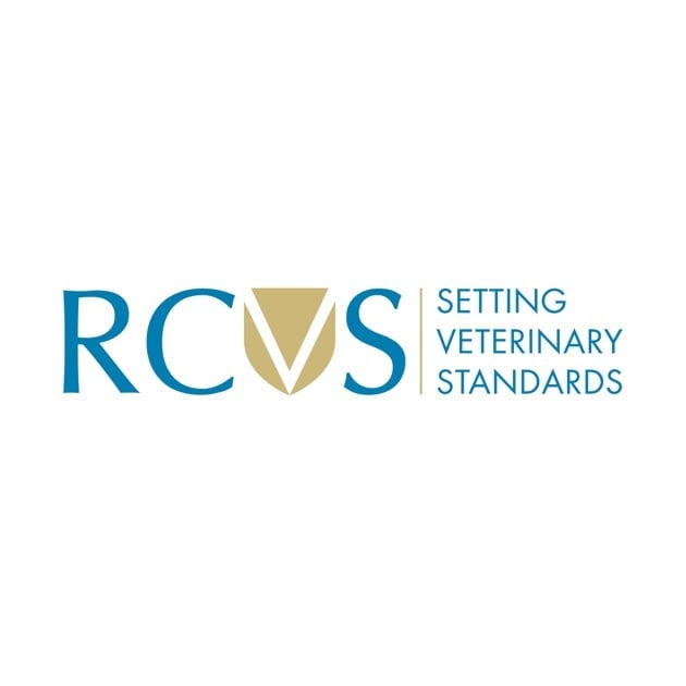 RCVS-Oct-29-2025-02-16-07-5599-PM