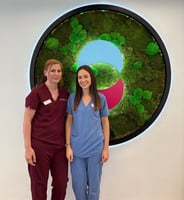 London Vet Specialists in Hammersmith new Oncology service