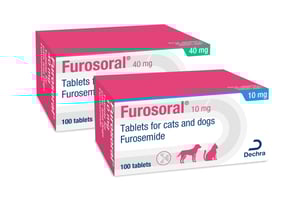 Furosoral - a new furosemide tablet for cats and dogs