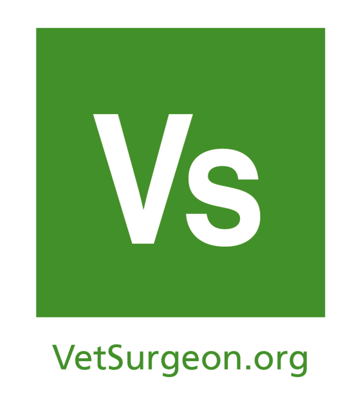 VS_Logo-720x823-1-2