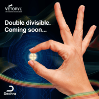 Double divisible flavoured Vetoryl coming soon