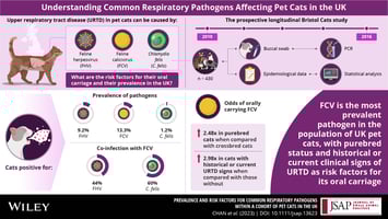 respiratory pathogens in UK cats