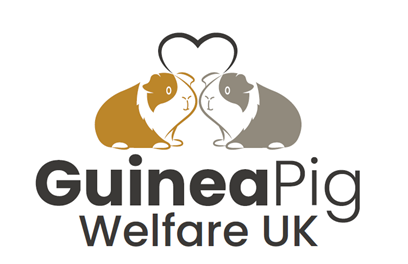 guinea-pg-welfare