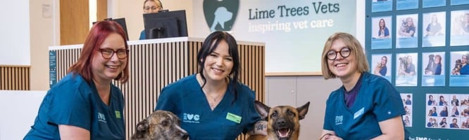 Lime Trees Vets new IVC branding