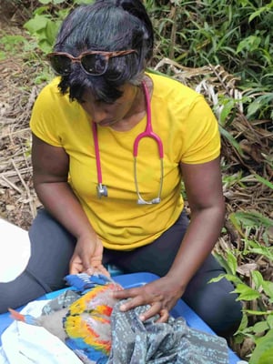 Jade Kingsley Grant Press Release