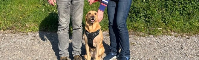 Luna the Labrador, Moores' 2000th patient