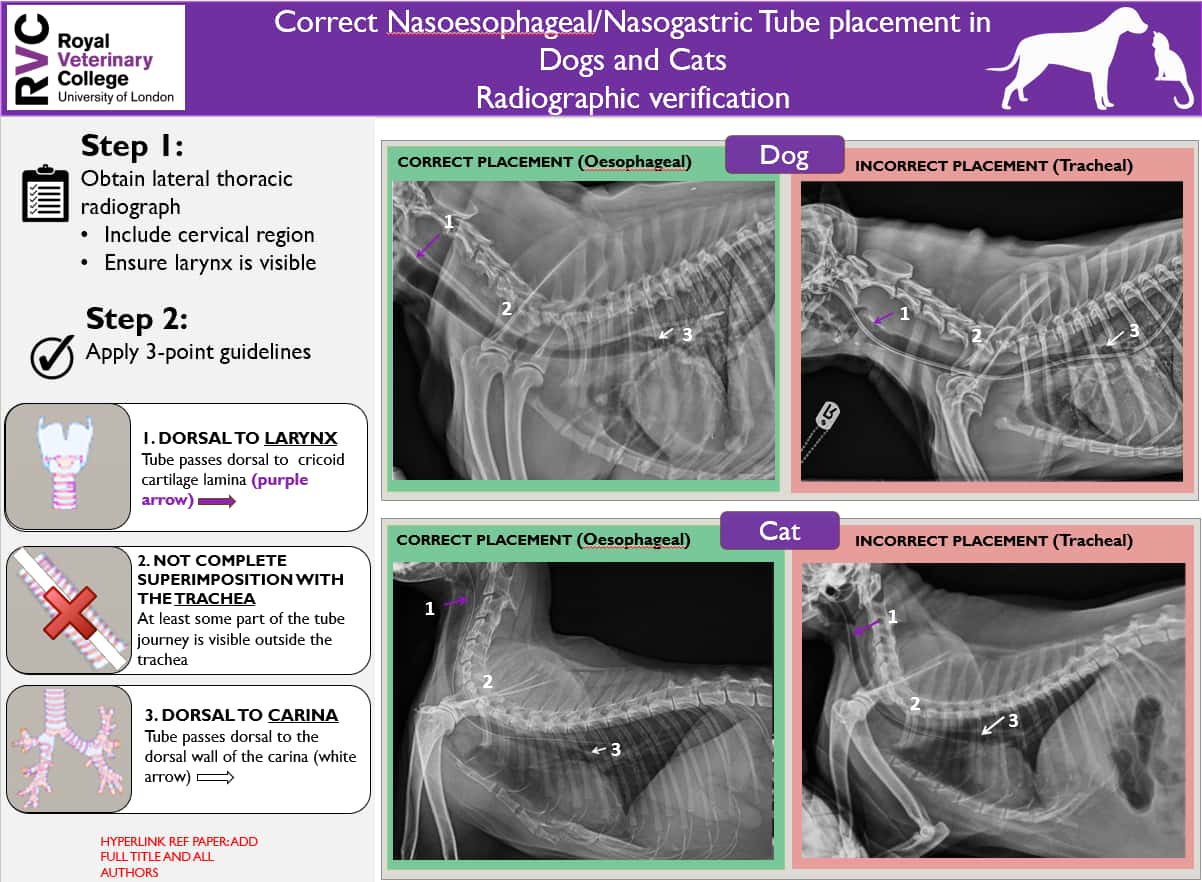 RVC feed tube infographic