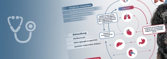 Kardiologie Poster