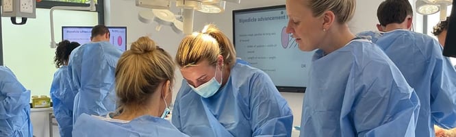 students on the soft tissue surgery certificate 'advanced practitioner route' course that has gained RCVS approval