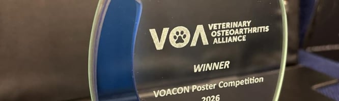 The first prize for the poster at VOACON 2026