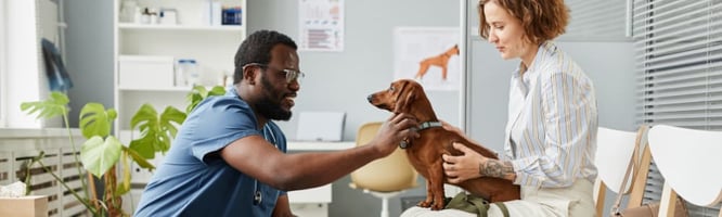 Veterinary practice design of waiting rooms