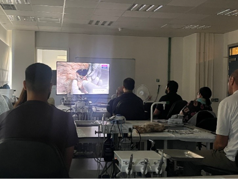 vets in Malta attending feline dentistry training with Improve
