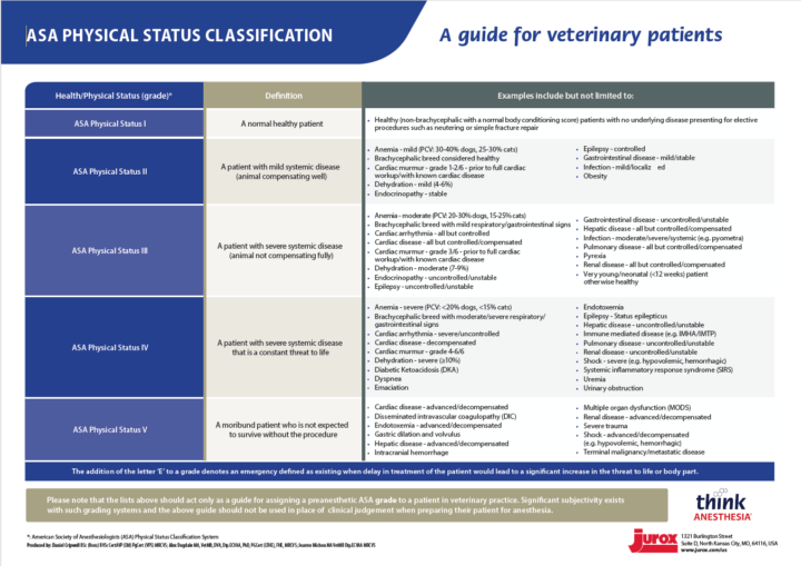 Anaesthetic monitoring and troubleshooting: a guide for veterinary nurses