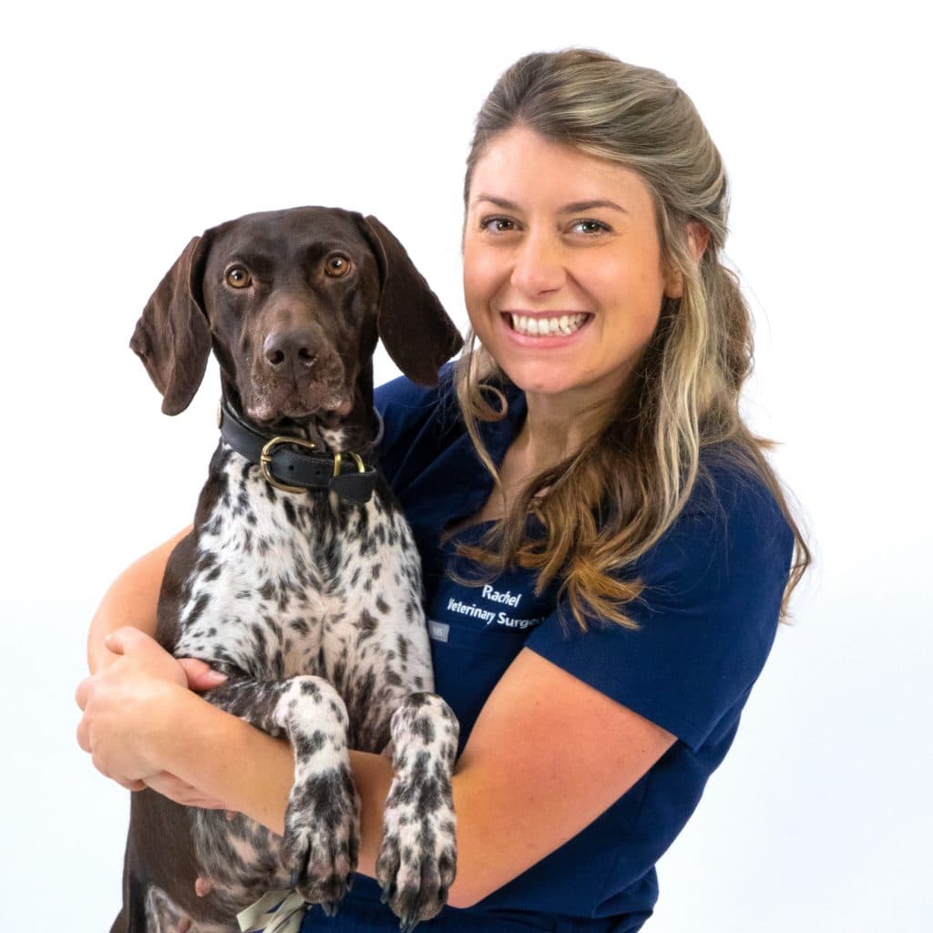 Rachel Simmons BVM&S MRCVS
